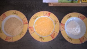 WP_20150822_18_47_38_Pro